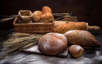 Horno rotativo: descubrí el funcionamiento de esta maquinaria para panadería