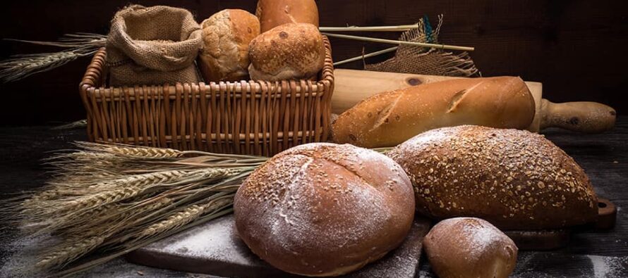 Horno rotativo: descubrí el funcionamiento de esta maquinaria para panadería