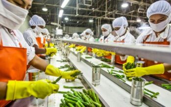 Equipamiento para industria avícola y alimenticia