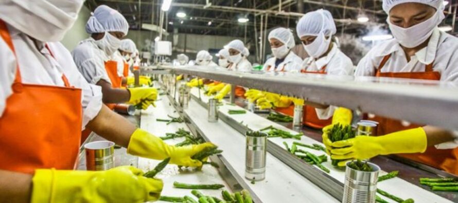 Equipamiento para industria avícola y alimenticia