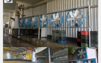 Soluciones en Ventilación para Galpones de Ing. Galimberti y Cía.