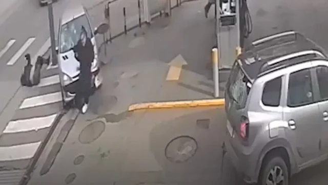 Mar del Plata: inhabilitan de por vida a una conductora por usar licencia falsa. Fotografía editorial relacionada con licencia falsa Mar del Plata. publicada en Novedades Web