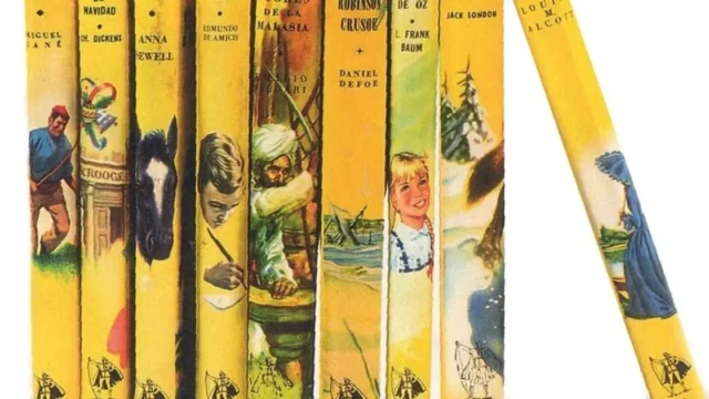 María Rosa Lojo recomienda abrir una biblioteca para los chicos. Imagen destacada sobre biblioteca para los chicos. publicada en Novedades Web