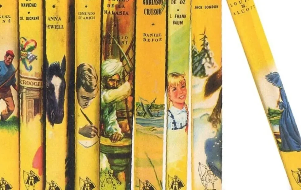 María Rosa Lojo recomienda abrir una biblioteca para los chicos. Imagen destacada sobre biblioteca para los chicos. publicada en Novedades Web