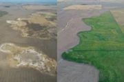 La FAO impulsa una nueva revolución agrícola basada en ciencia y suelos vivos. Imagen destacada sobre nueva revolución agrícola. publicada en Novedades Web