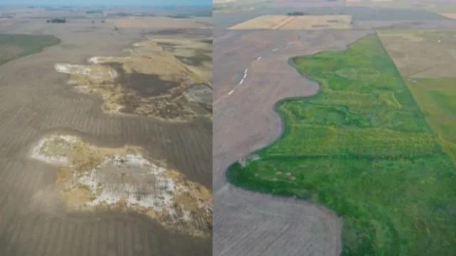La FAO impulsa una nueva revolución agrícola basada en ciencia y suelos vivos. Imagen destacada sobre nueva revolución agrícola. publicada en Novedades Web