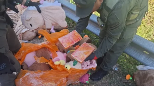Narcopeluches: hallan marihuana y cocaína dentro de carpinchos de felpa. Fotografía editorial relacionada con narcopeluches en Catamarca. publicada en Novedades Web