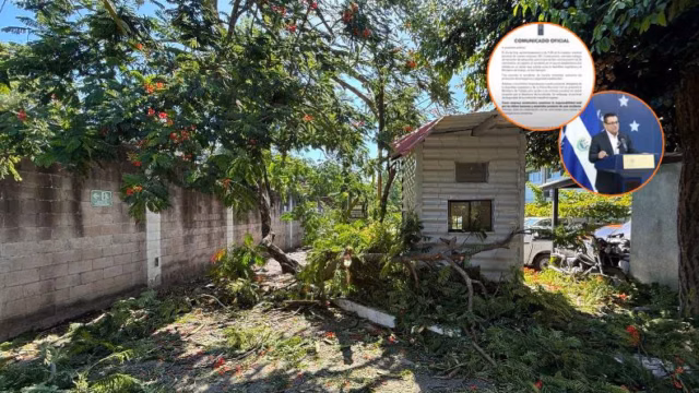 El Salvador: una constructora niega conciliar tras accidente con tres heridos. Imagen destacada sobre constructora niega conciliar. publicada en Novedades Web