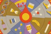 Seis mitos sobre longevidad que la evidencia científica no respalda. Imagen destacada sobre mitos sobre longevidad. publicada en Novedades Web